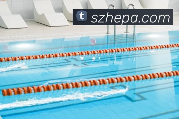 pa真人视讯服务体系